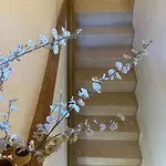 Casa La Esparteria De La Corredera 5* Κόρδοβα