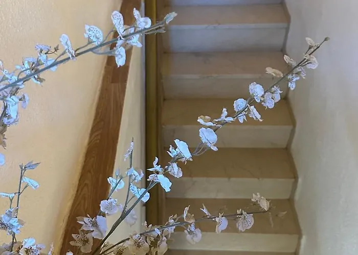 Casa La Esparteria De La Corredera 5* קורדובה